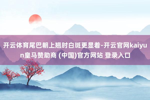 开云体育尾巴朝上翘时白斑更显着-开云官网kaiyun皇马赞助商 (中国)官方网站 登录入口
