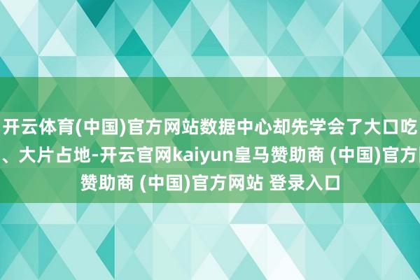开云体育(中国)官方网站数据中心却先学会了大口吃电、大批用水、大片占地-开云官网kaiyun皇马赞助商 (中国)官方网站 登录入口